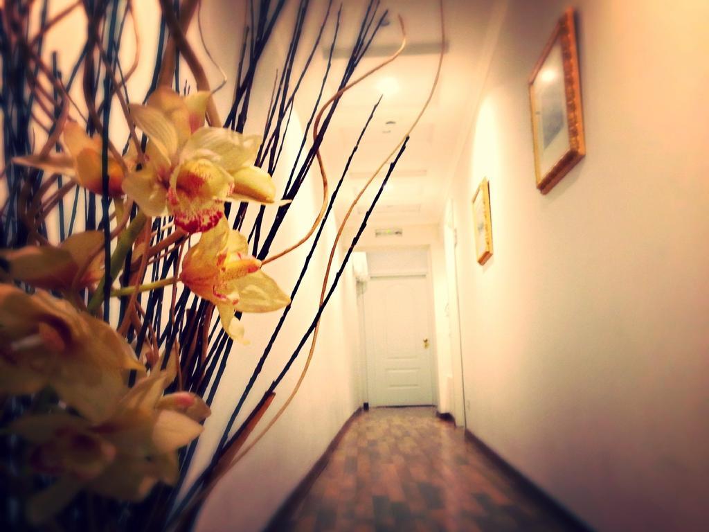 Residenza Domiziano Bed & Breakfast Roma Dış mekan fotoğraf